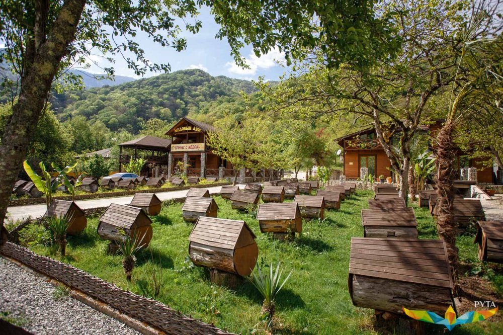 Пасека Гамзата