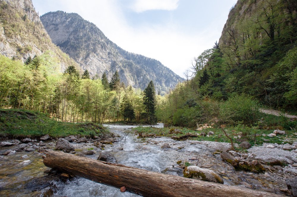 ВИП экскурсия на озеро Рица