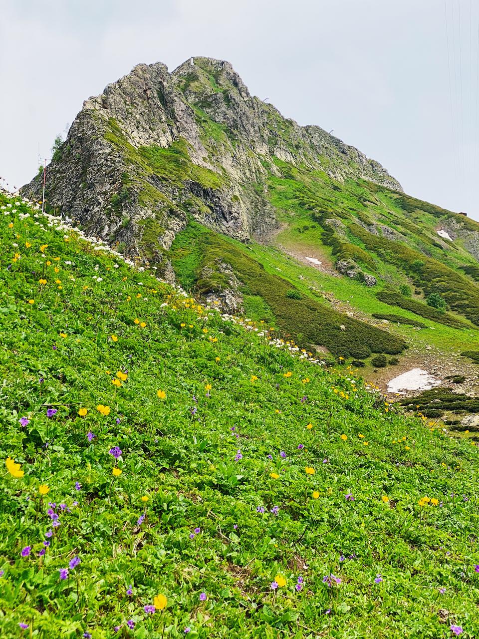 Красная Поляна - Сочи Парк из Адлера