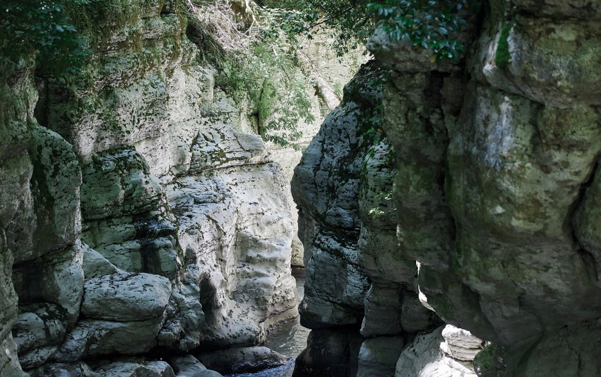 Тисо-Самшитовая роща + Агурское Ущелье