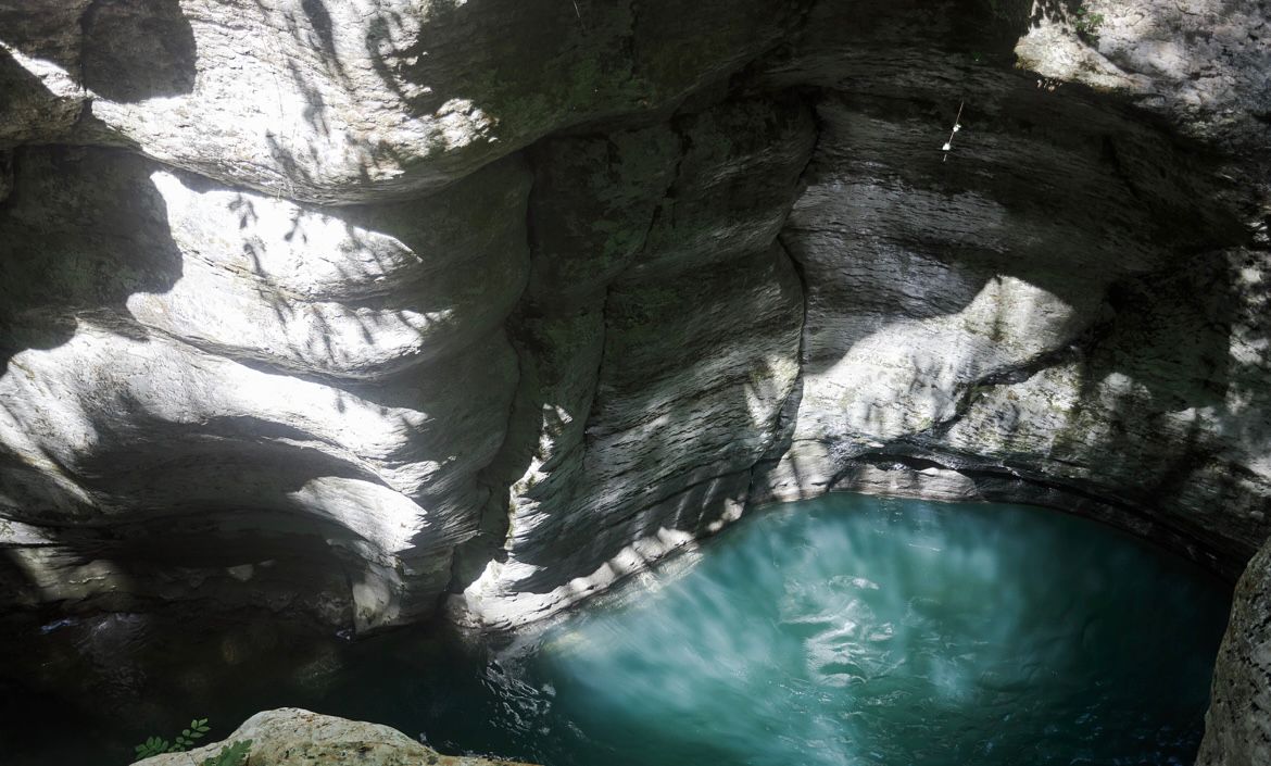 Тисо-Самшитовая роща + Агурское Ущелье