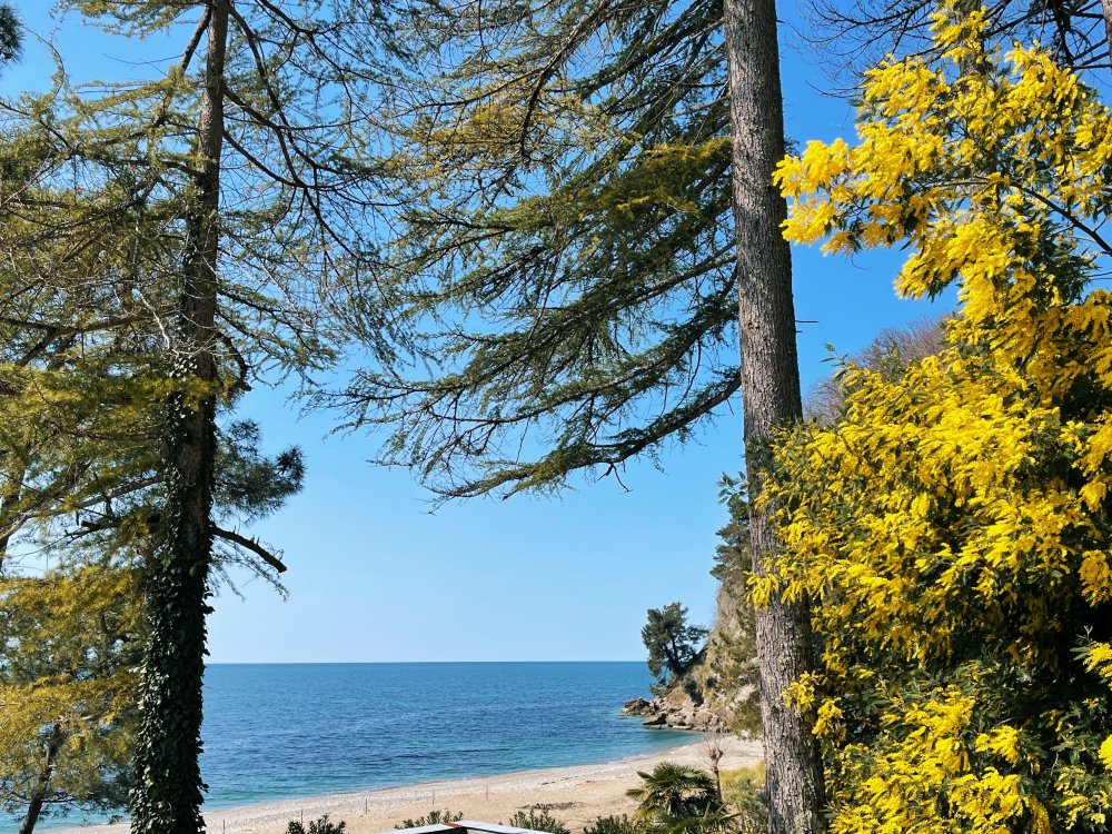 ВИП Мюссера – парк Львов – Новый Афон из Адлера