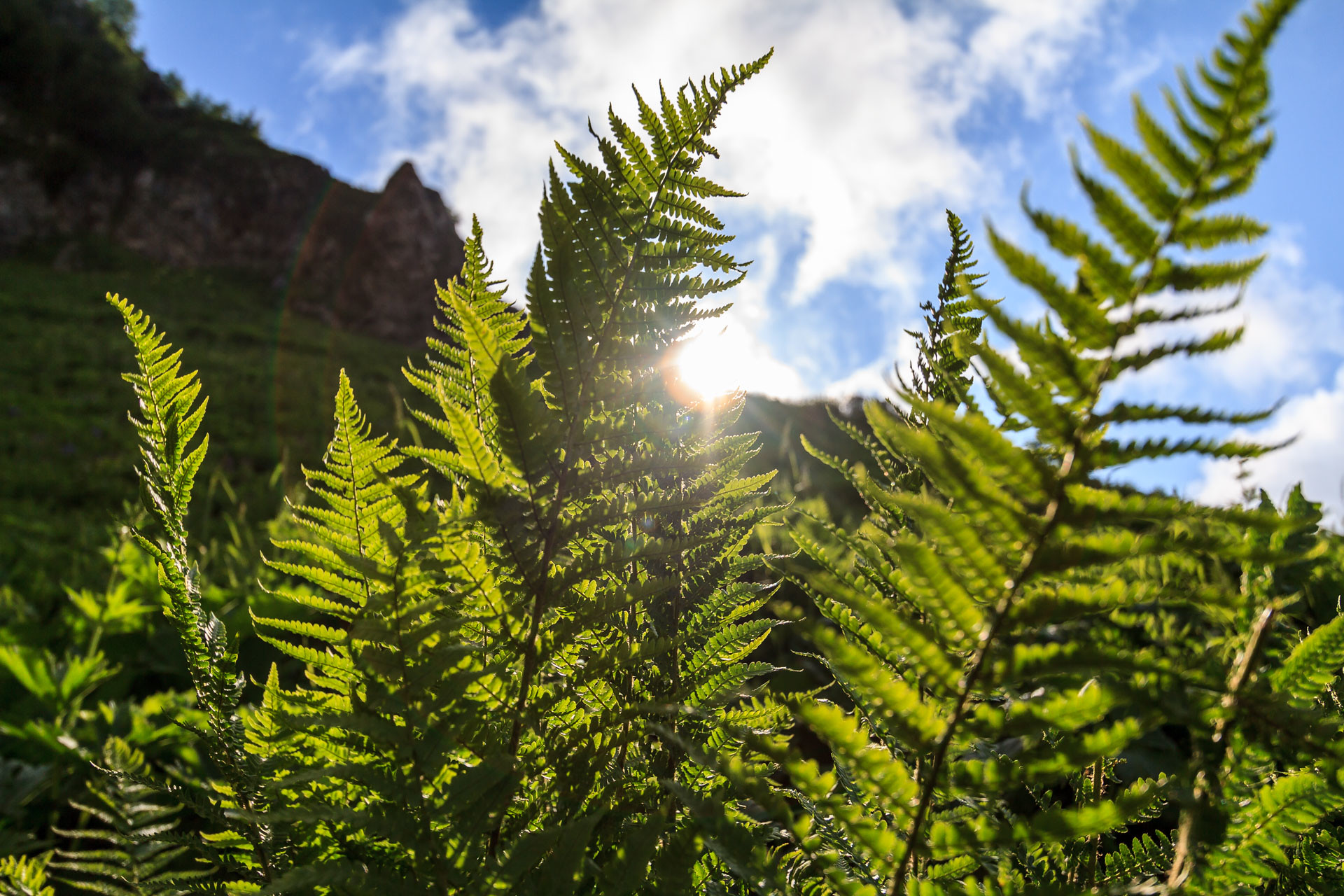 Красная Поляна - водопад Поликаря из Адлера