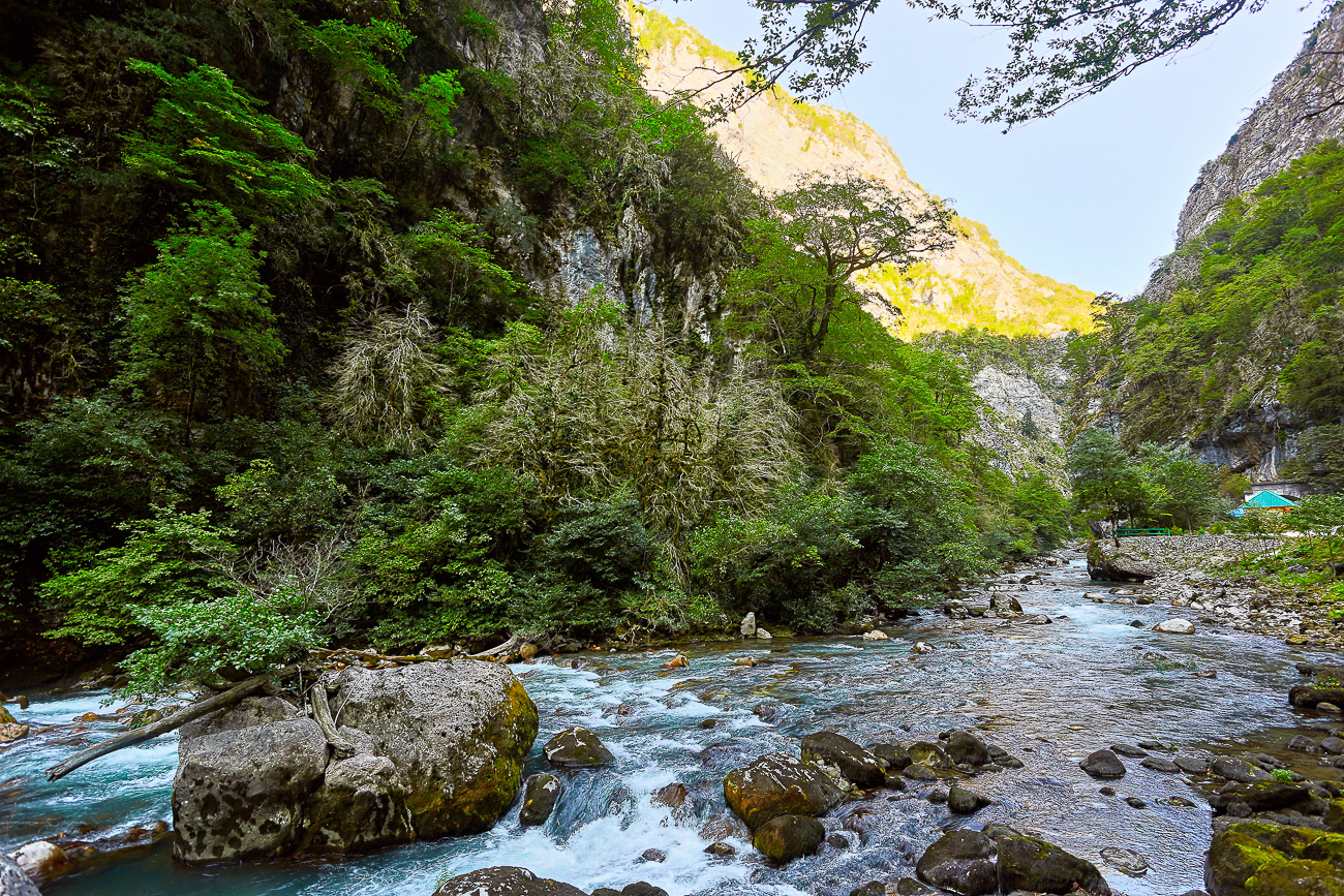 ВИП на озеро Рица из Дагомыса