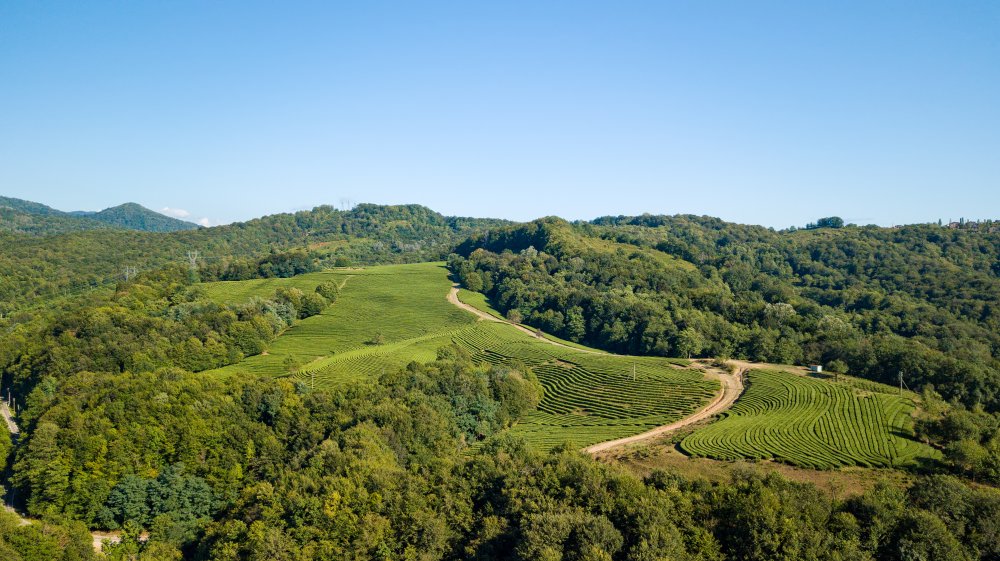 Солох Аул "На краю земли" из Дагомыса